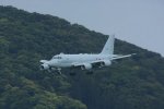 Dcim19409/DSC_6353