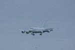 Dcim19409/DSC_6373