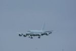 Dcim19409/DSC_6374