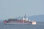 Dcim19409/DSC_6472
