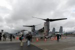 Dcim19410/DSC_1452
