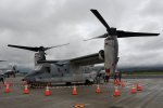 Dcim19410/DSC_1454