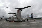 Dcim19410/DSC_1463