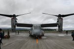 Dcim19410/DSC_1485