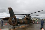 Dcim19411/DSC_1493