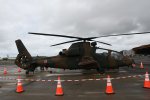 Dcim19411/DSC_1494