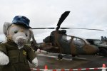 Dcim19411/DSC_1496