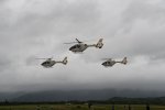 Dcim19411/DSC_1599