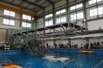 Dcim19415/DSC_2034
