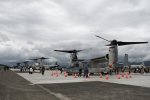 Dcim19415/DSC_2067