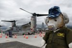 Dcim19415/DSC_2072