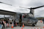 Dcim19415/DSC_2099