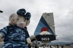 Dcim19415/DSC_2107