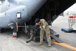 Dcim19416/DSC_2170