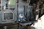 Dcim19416/DSC_2198