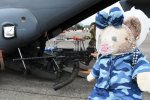 Dcim19416/DSC_2202