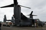 Dcim19416/DSC_2203