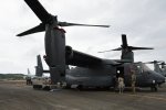 Dcim19416/DSC_2204