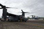 Dcim19416/DSC_2207