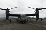 Dcim19416/DSC_2209