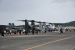 Dcim19416/DSC_2238