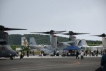 Dcim19416/DSC_2241