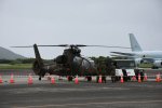 Dcim19416/DSC_2242