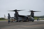 Dcim19416/DSC_2246