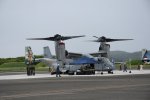 Dcim19416/DSC_2250