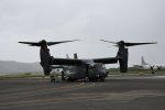 Dcim19416/DSC_2251