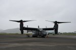 Dcim19416/DSC_2253