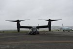 Dcim19416/DSC_2254