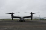 Dcim19416/DSC_2255