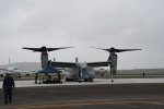 Dcim19417/DSC_2260