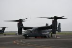 Dcim19417/DSC_2261