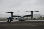 Dcim19417/DSC_2262