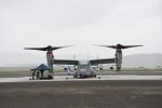 Dcim19417/DSC_2263