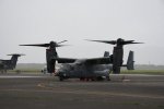 Dcim19417/DSC_2264