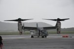Dcim19417/DSC_2269