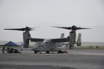 Dcim19417/DSC_2271