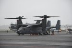 Dcim19417/DSC_2272