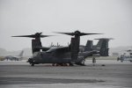 Dcim19417/DSC_2273