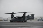 Dcim19417/DSC_2274