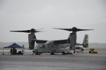 Dcim19417/DSC_2276
