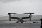 Dcim19417/DSC_2280