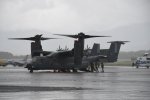 Dcim19417/DSC_2284