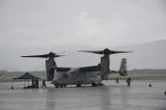 Dcim19417/DSC_2287