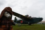 Dcim19417/DSC_2358