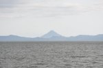 Dcim19418/DSC_2442