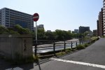 Dcim19421/DSC_2667
